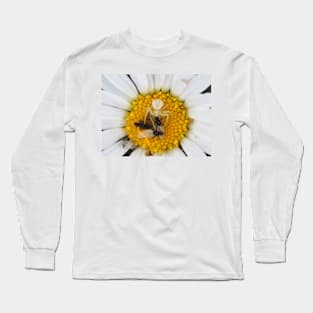 Tiny crab spider (likely male Misumena vatia) with lots of prey Long Sleeve T-Shirt